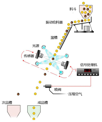 色選機(jī)